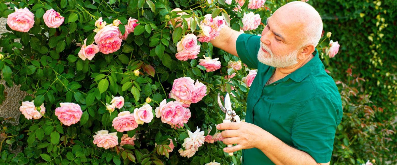 Dal giardino al business: Il Talento è dappertutto.